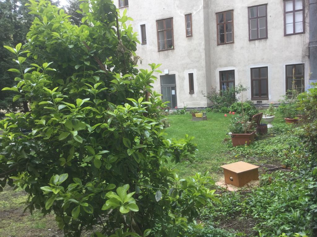Ajo Central Βιέννη Εξωτερικό φωτογραφία